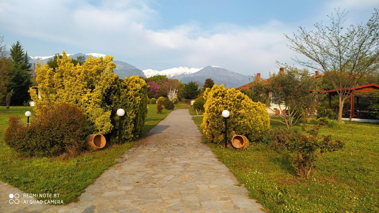 Casa Consta Olympus Villa ลิโตโครอน ภายนอก รูปภาพ