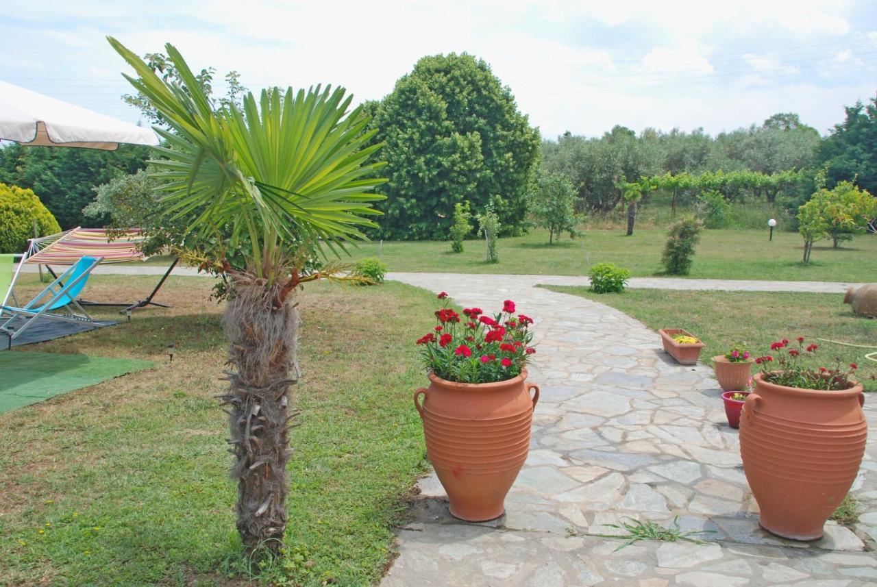 Casa Consta Olympus Villa ลิโตโครอน ภายนอก รูปภาพ