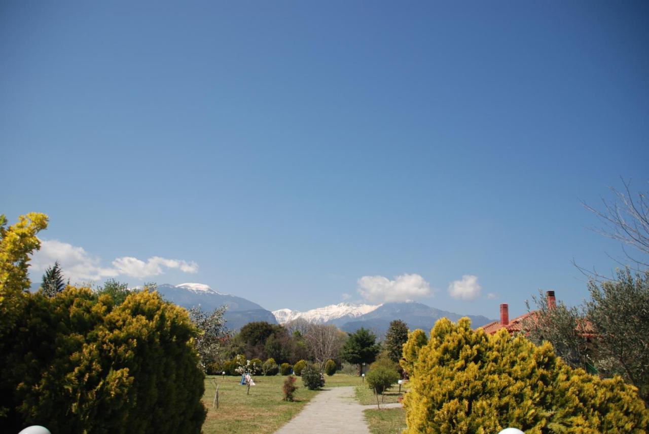 Casa Consta Olympus Villa ลิโตโครอน ภายนอก รูปภาพ