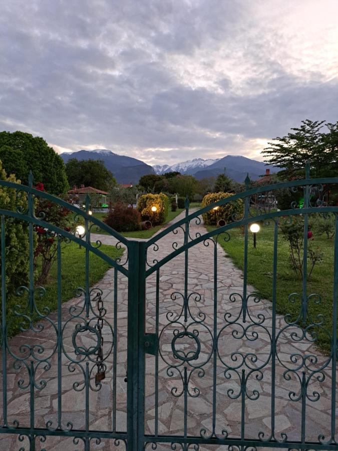 Casa Consta Olympus Villa ลิโตโครอน ภายนอก รูปภาพ