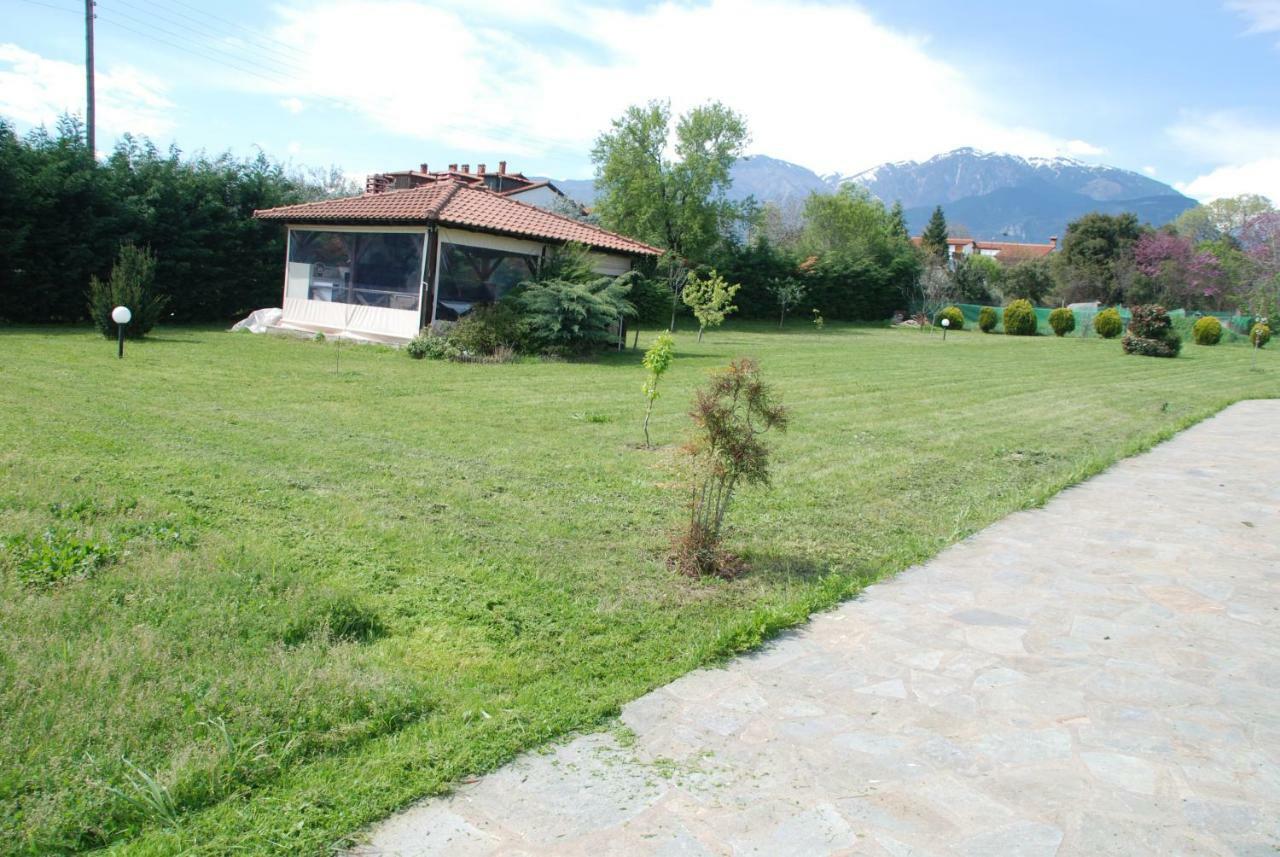 Casa Consta Olympus Villa ลิโตโครอน ภายนอก รูปภาพ