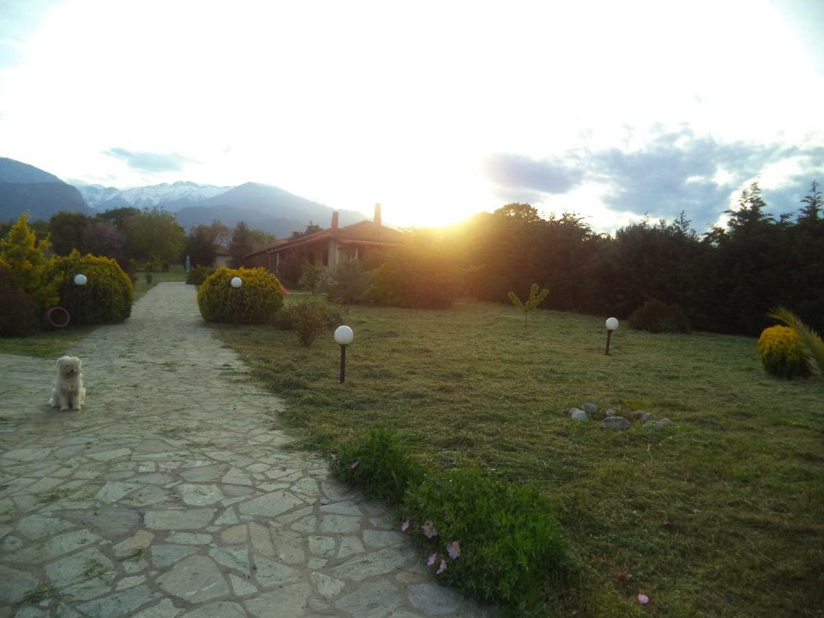 Casa Consta Olympus Villa ลิโตโครอน ภายนอก รูปภาพ